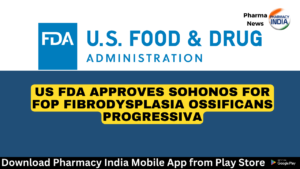 Walk in Interview 53