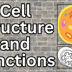 A Brief Guide to Cell Structure and Function