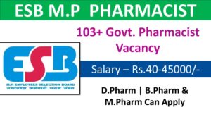 WhatsApp Image 2024 11 22 at 5.05.47 PM